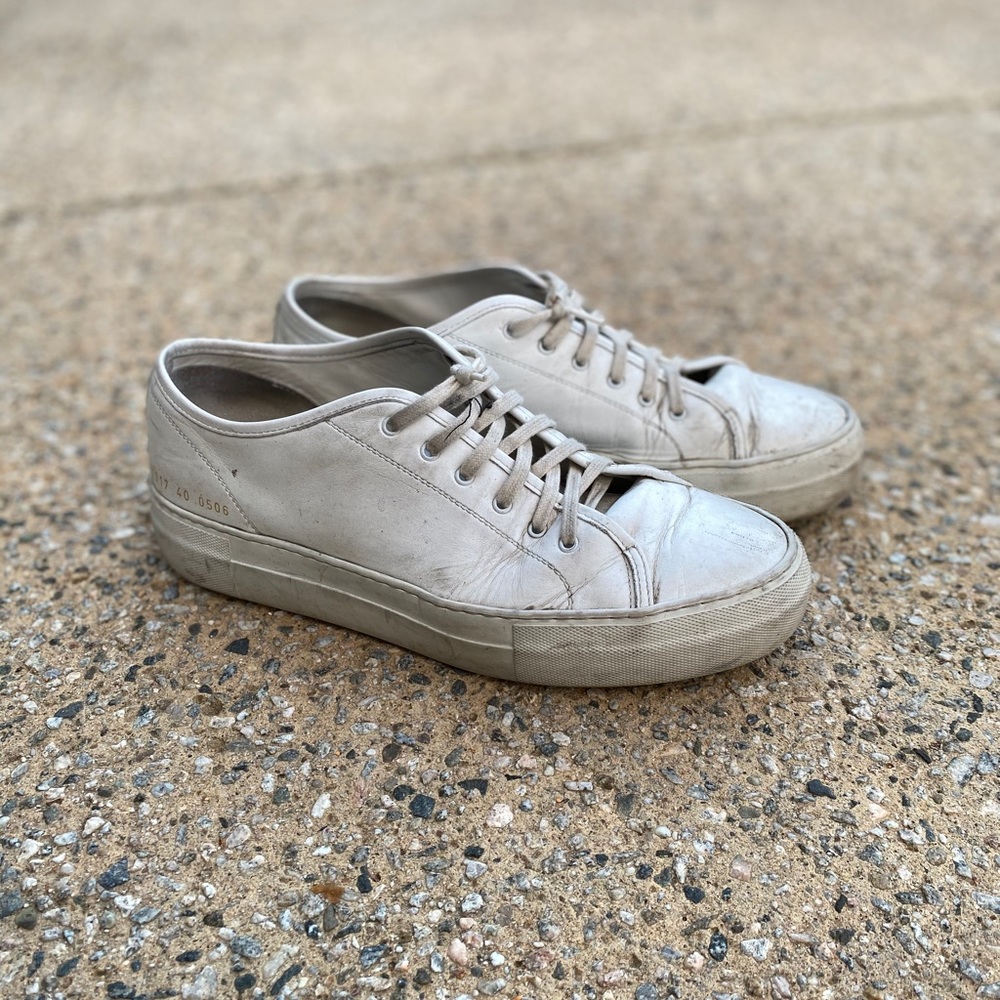 Destroyed Common Projects